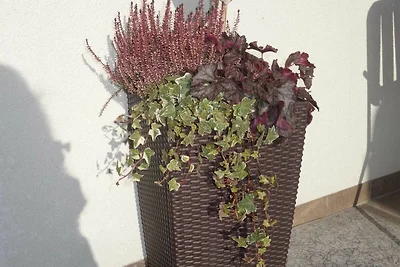 Vakantieappartement Gezinsvakantie Hittisau