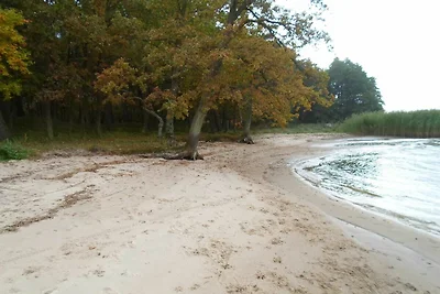 Vakantieappartement Gezinsvakantie Altwarp