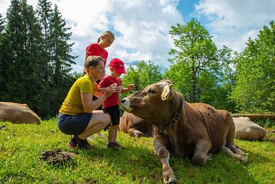 Appartamento Vacanza con famiglia Bezau