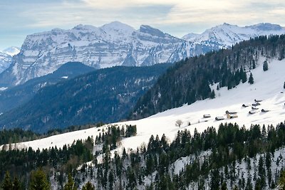 Vakantieappartement Gezinsvakantie Schwarzenberg