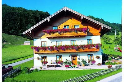 Appartamento Vacanza con famiglia Mondsee