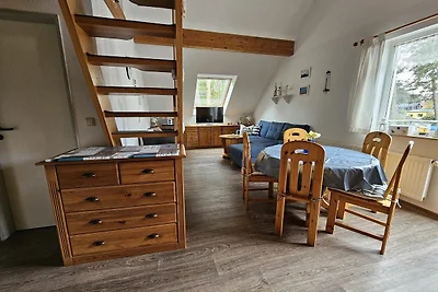Albergo Cultura ed escursioni Lubmin