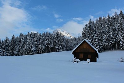 Casa vacanze Vacanza di relax Spital am Pyhrn