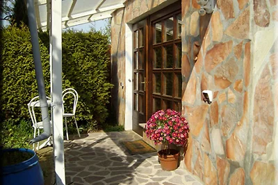 Vakantieappartement Gezinsvakantie Juliusruh