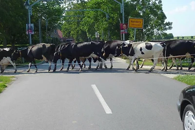 Ferienwohnung 1 van Vlyten