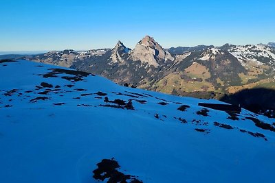 Vakantieappartement Gezinsvakantie Schwyz