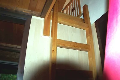 Albergo Cultura ed escursioni Öfingen