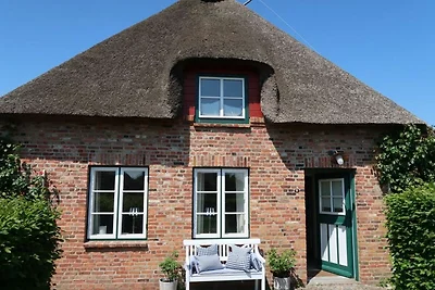 Vakantiehuis Ontspannende vakantie Oldsum