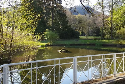 Vakantieappartement Gezinsvakantie Bad Harzburg