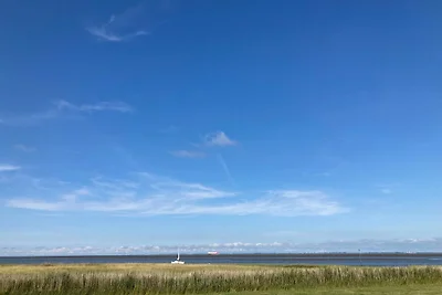 neu