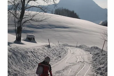 Appartamento Vacanza con famiglia Tiefgraben am Mondsee