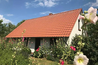 Vakantiehuis Ontspannende vakantie Quilitz