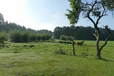 Casa vacanze Vacanza di relax Krakow am See