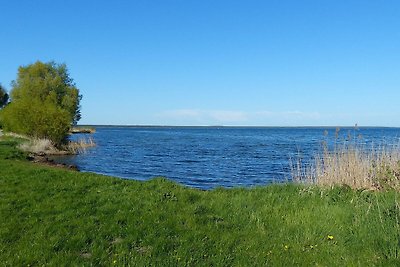 Müritzurlaub an der Kastanie in Sembzin