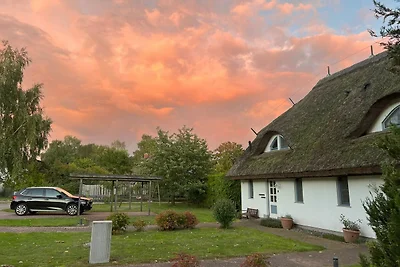 Albergo Cultura ed escursioni Neuenkirchen