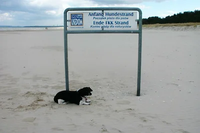 Vakantieappartement Gezinsvakantie Bansin