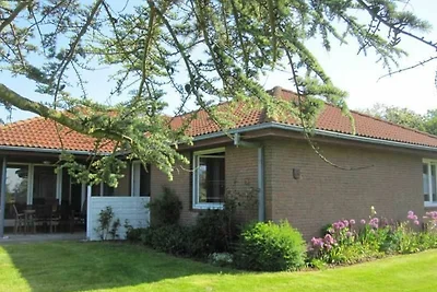Ferienhaus Knorrlück