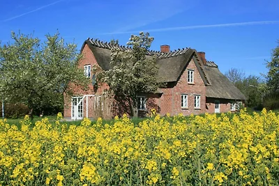 Ferienhaus Altes Schusterhus