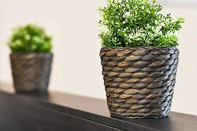 Vakantieappartement Gezinsvakantie Aurich