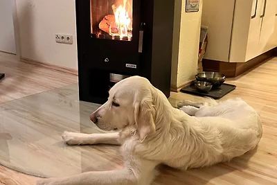 Ferienwohnung Seestern 17