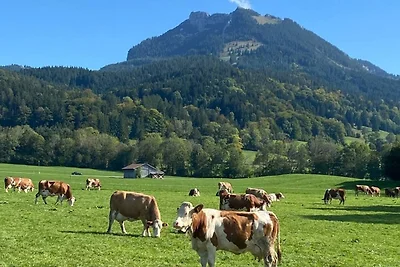 Breitenstein