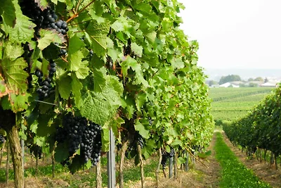 Appartamento Vacanza con famiglia Mainz-Laubenheim