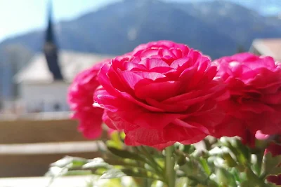Appartamento Vacanza con famiglia Bayrischzell