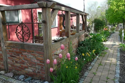 Vakantieappartement Gezinsvakantie Lohme