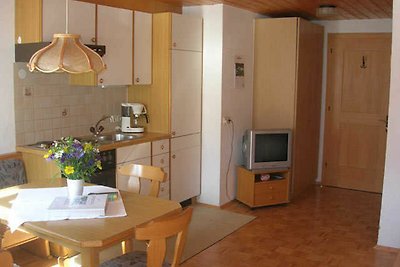 Vakantieappartement Gezinsvakantie Schoppernau