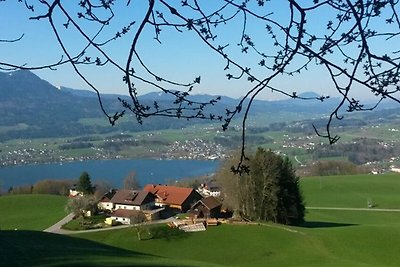 Vakantiehuis Ontspannende vakantie Mondsee