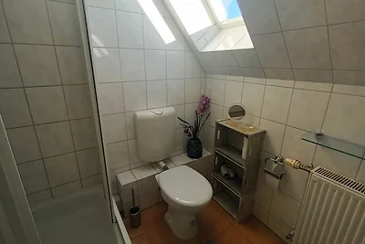 Kranichüberflug