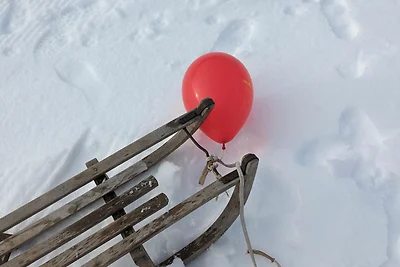 Ferienwohnung Gänseblümchen
