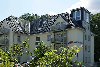 2-Zimmer-Apartment - B16