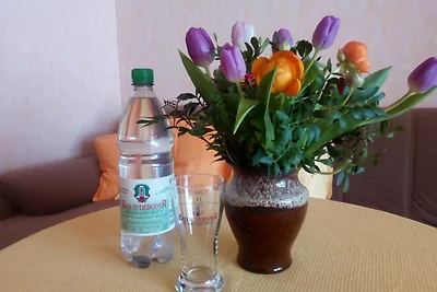 Appartamento Vacanza con famiglia Quedlinburg