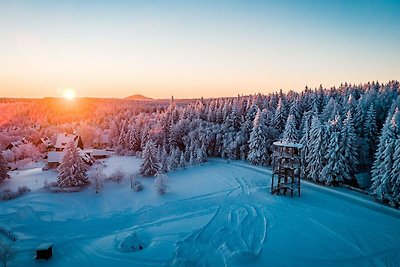 Appartamento Vacanza con famiglia Oberbärenburg