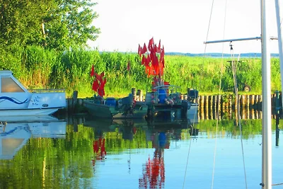 Ferienhaus Reusenschuppen