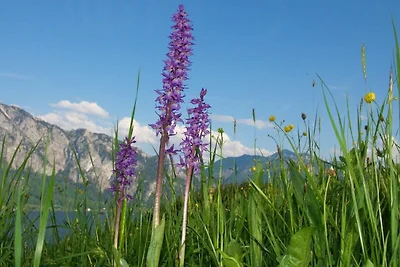 Vakantieappartement Gezinsvakantie Unterach am Attersee