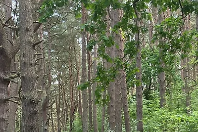 Vakantieappartement Gezinsvakantie Kröslin