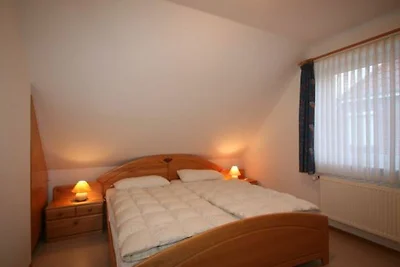 Albergo Cultura ed escursioni Butjadingen