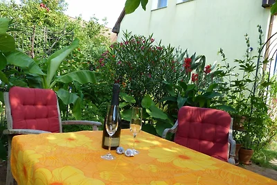 Eisvogel - Ferienwohnung