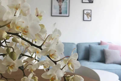 Appartamento Vacanza con famiglia Sankt Andreasberg