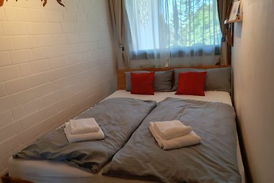 Vakantieappartement Gezinsvakantie Hohegeiß