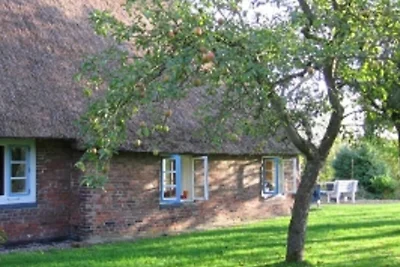 Casa vacanze Vacanza di relax Balje
