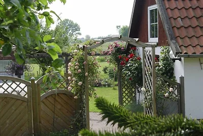 Ferienhof Jens Ferienwohnung 8 Kronsgaard