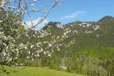 Vakantieappartement Gezinsvakantie Fischbachau