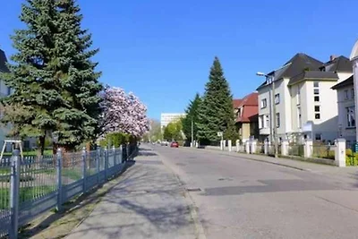 Käthe