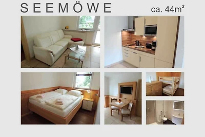 Seemöwe (6)