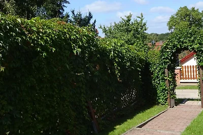 Casa vacanze Vacanza di relax Basedow