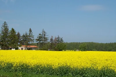 Ferienwohnung SandPiper