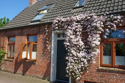 Ferienhaus Wolthuser Warf III